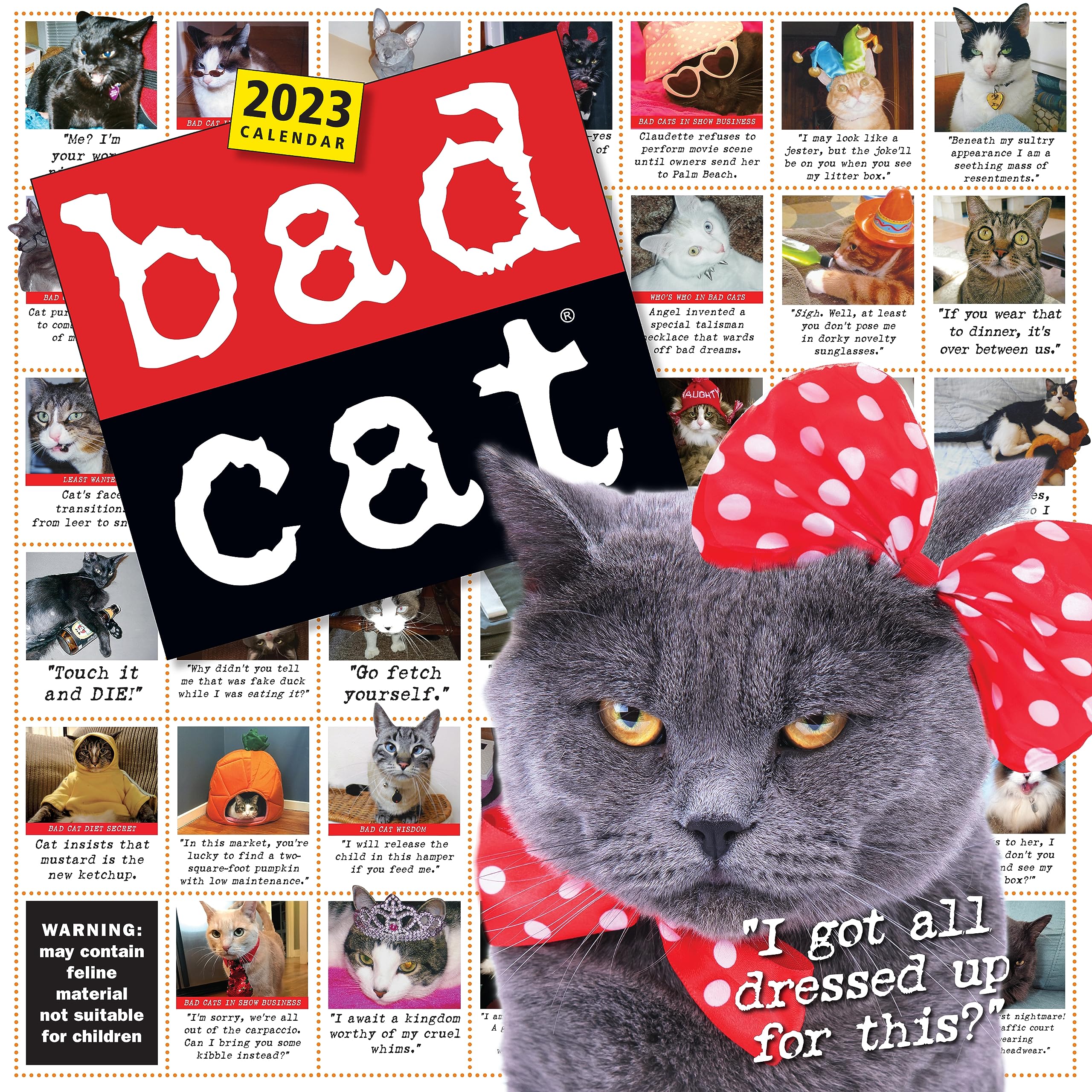 Bad Cat Wall Calendar 2023: Celebrating The Misfits Of The Feline World