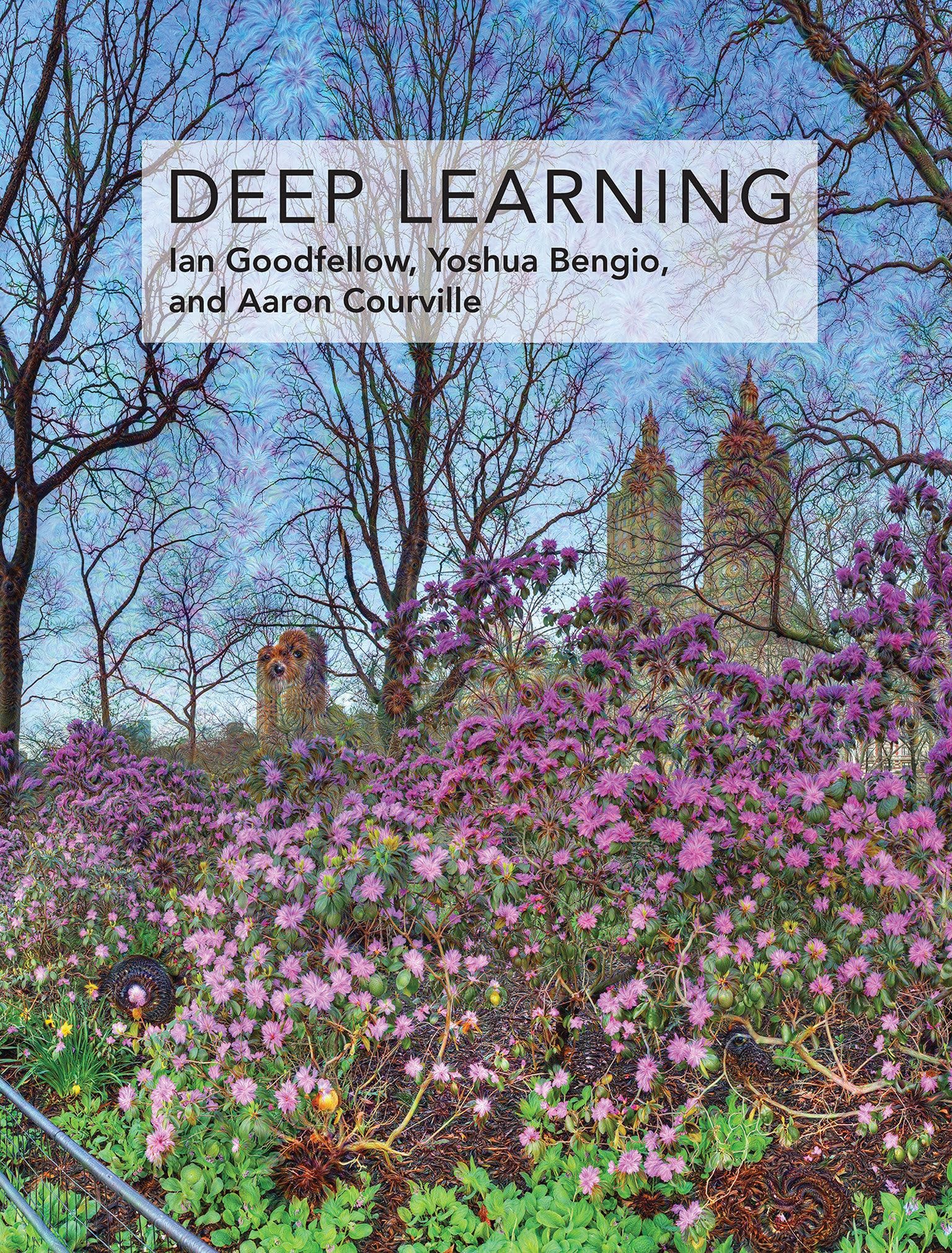 Deep Learning (Adaptive Computation and Machine Learning series),Used