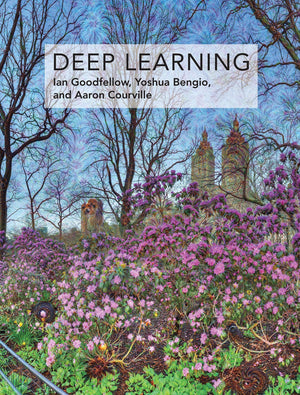 Deep Learning (Adaptive Computation and Machine Learning series),Used