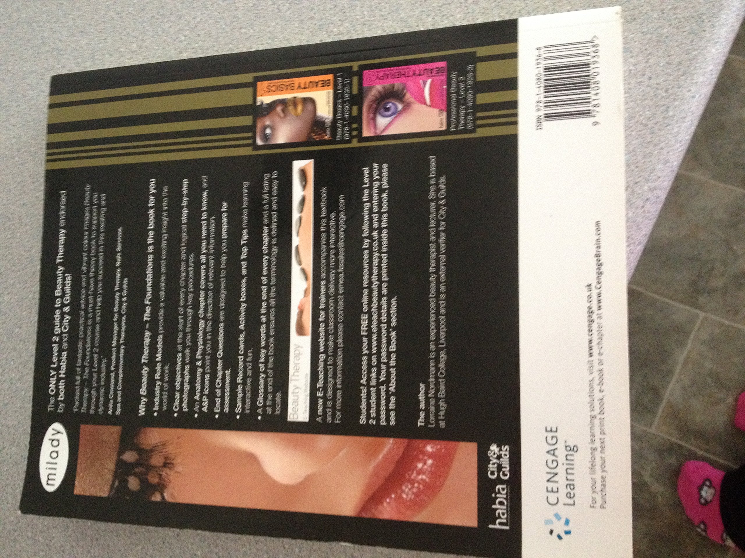 Beauty Therapy: The Foundations Level 2 (Habia Series),Used