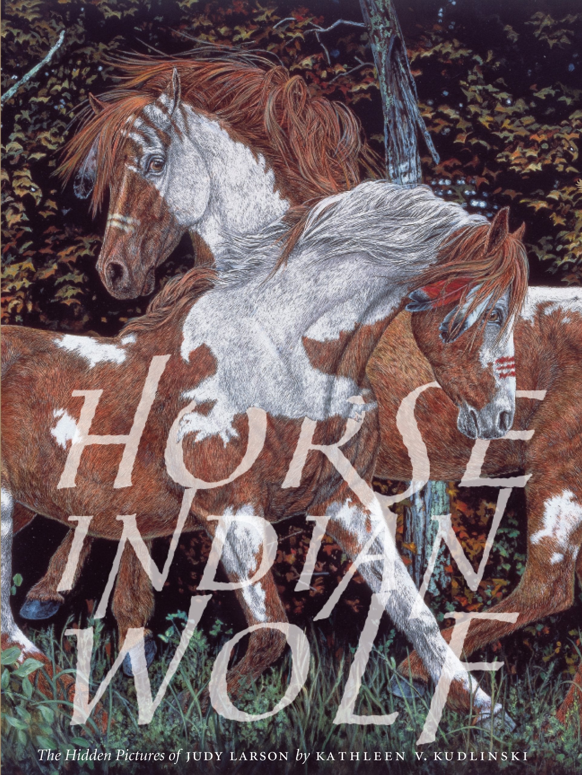 Horse Indian Wolf: The Hidden Pictures of Judy Larson,Used