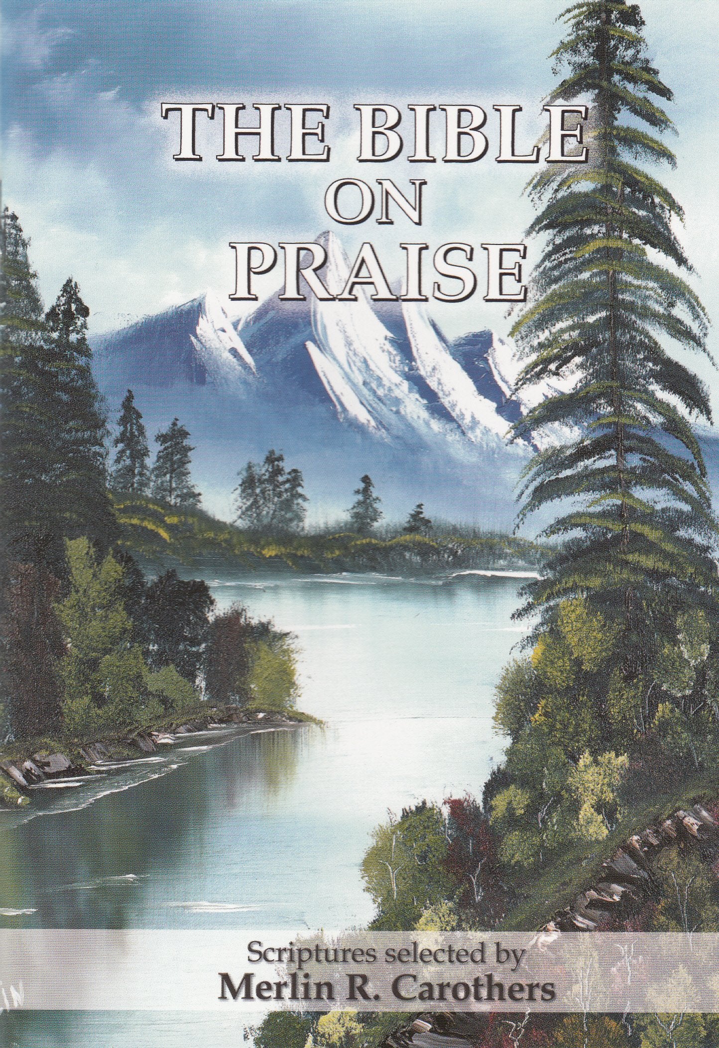 The Bible on Praise,Used