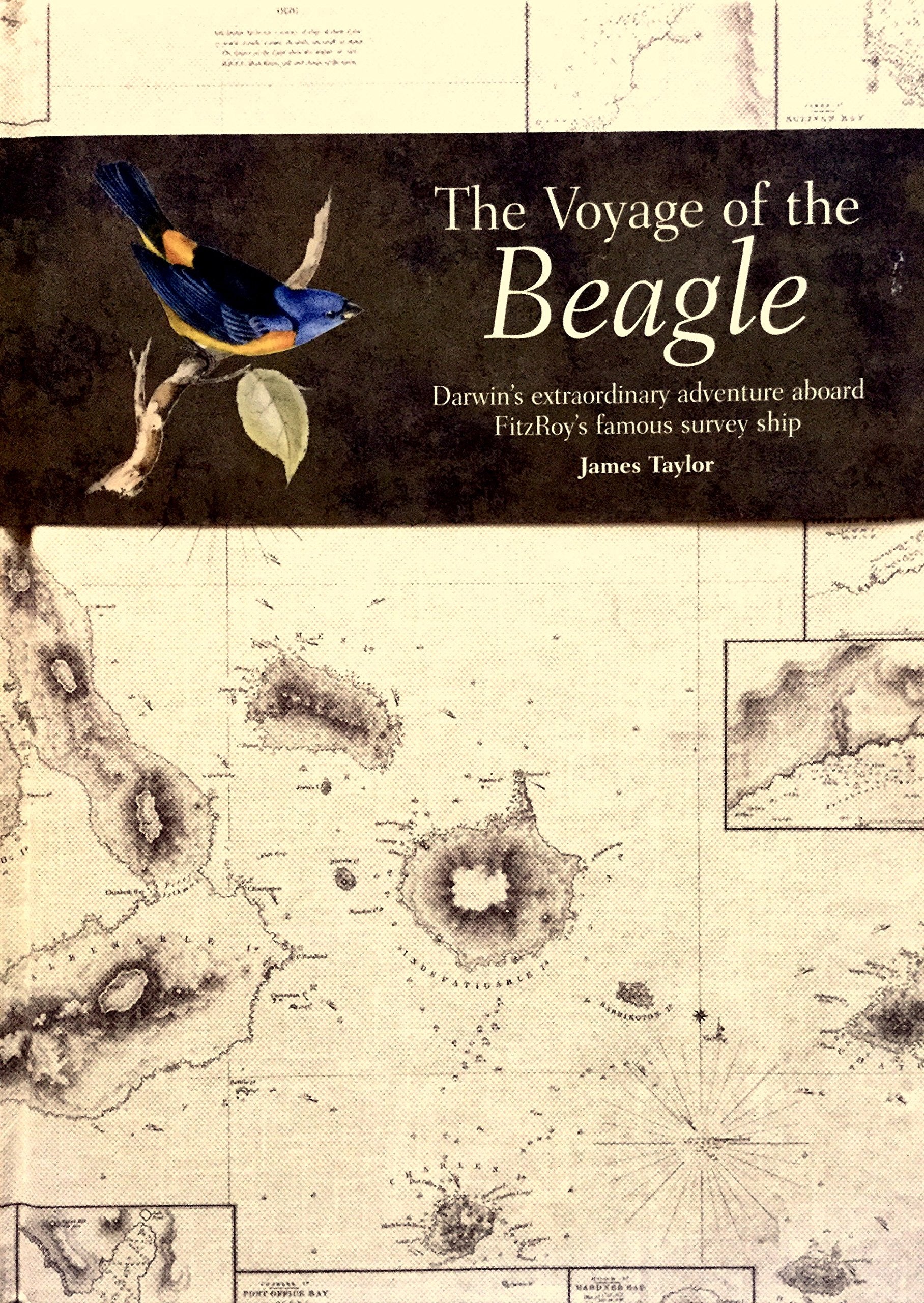 The Voyage of the Beagle: Darwin's Extraordinary Adventure in Fitzroy's Famous Survey Ship,Used