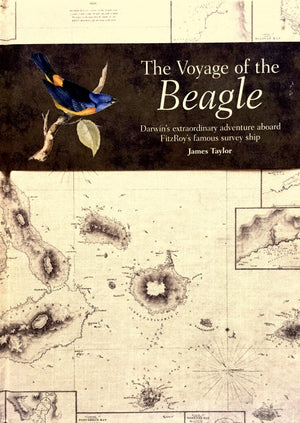 The Voyage of the Beagle: Darwin's Extraordinary Adventure in Fitzroy's Famous Survey Ship,Used