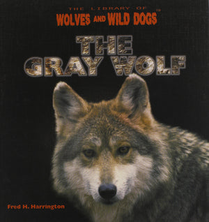 The Gray Wolf (The Library of Wolves and Wild Dogs),Used