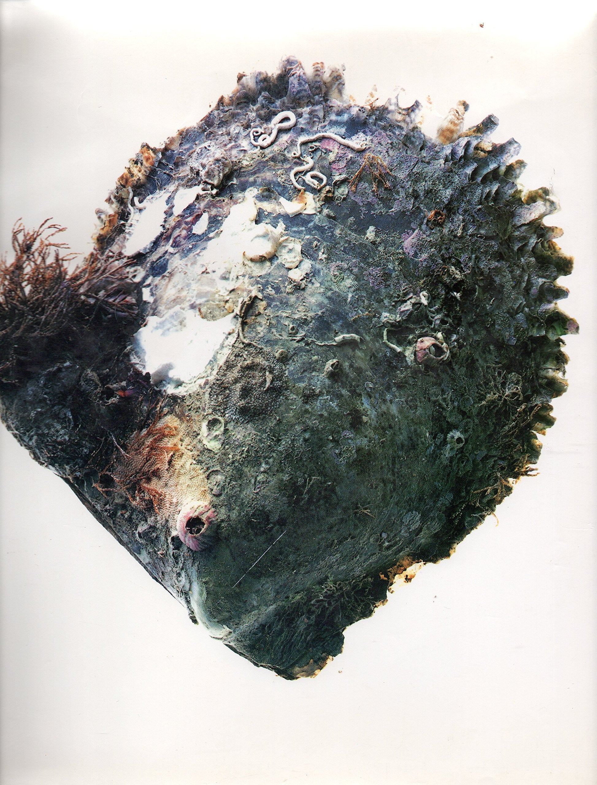 Pearls: Ornament And Obsession,Used