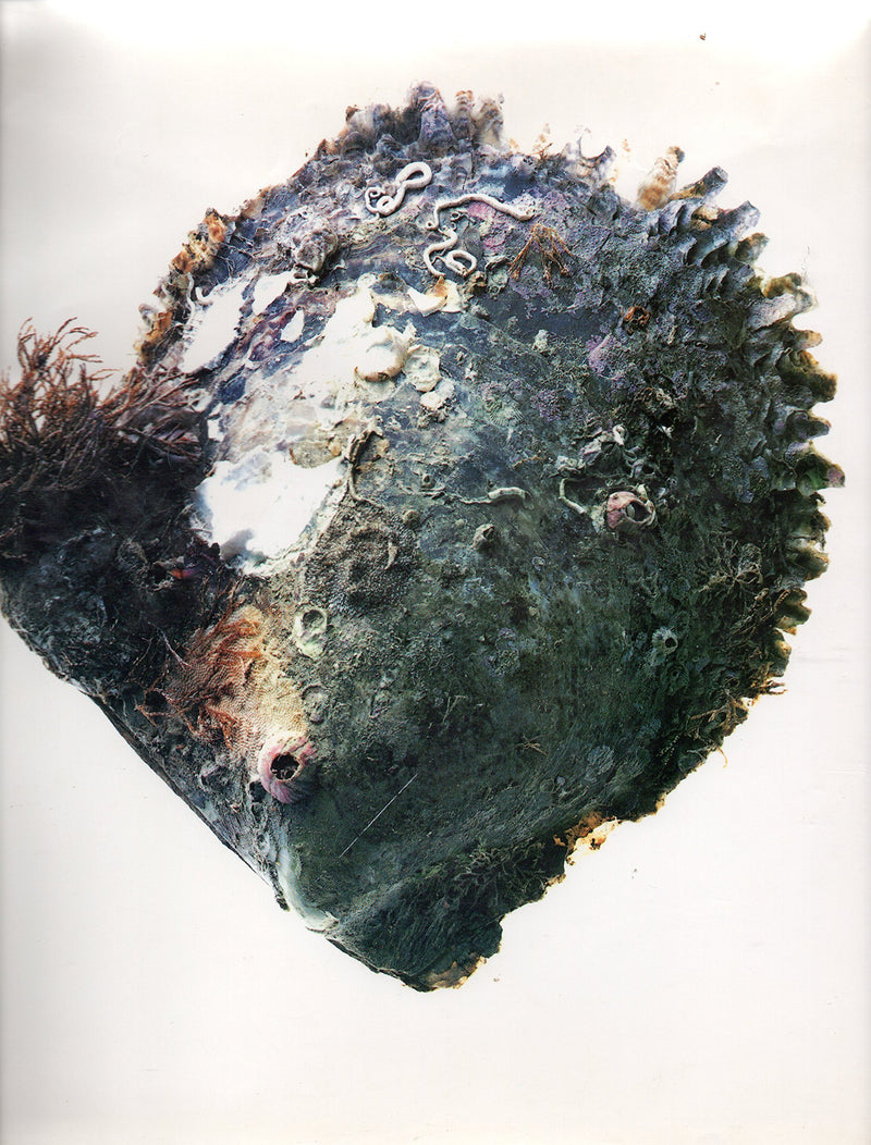 Pearls: Ornament And Obsession,Used