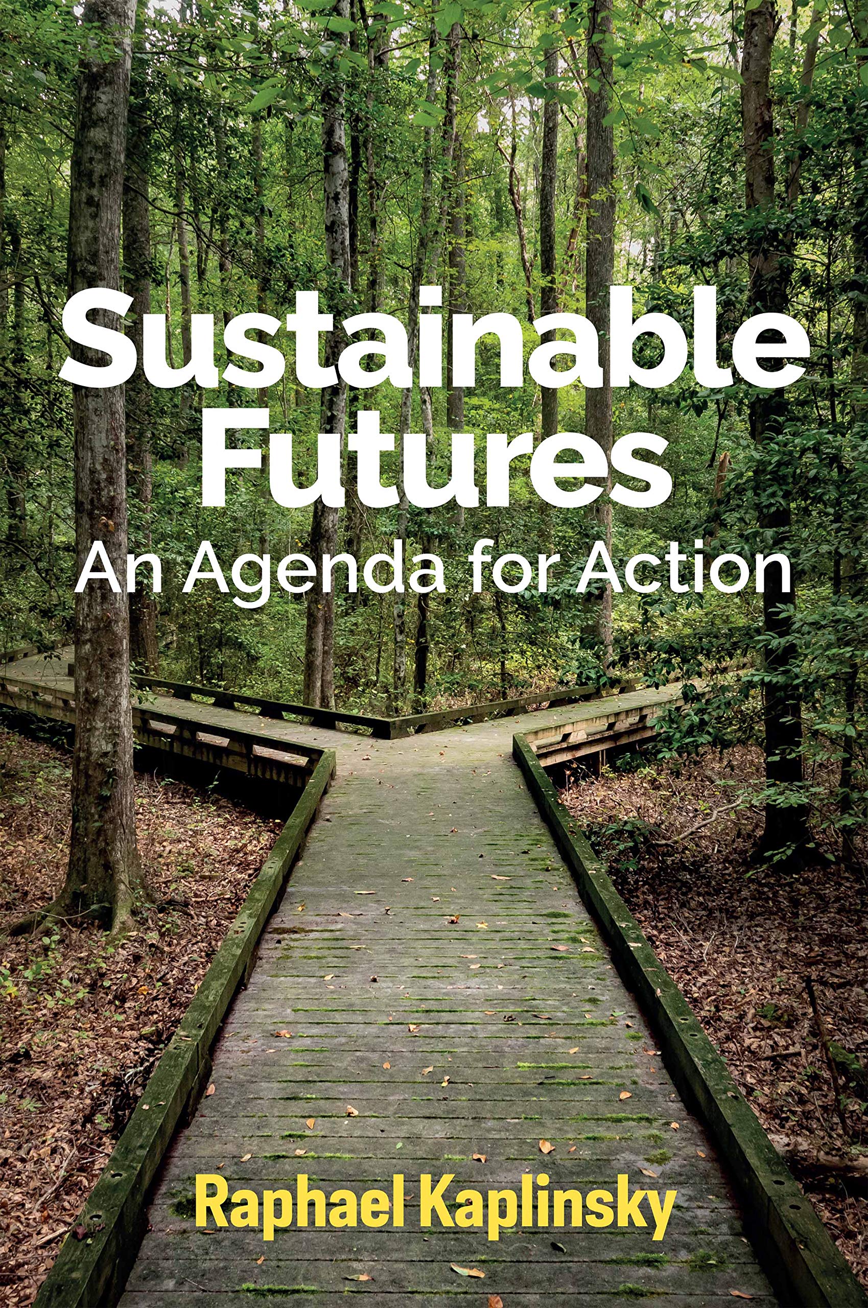 Sustainable Futures: An Agenda for Action,Used