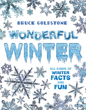 Wonderful Winter: All Kinds Of Winter Facts And Fun (Season Facts And Fun),Used