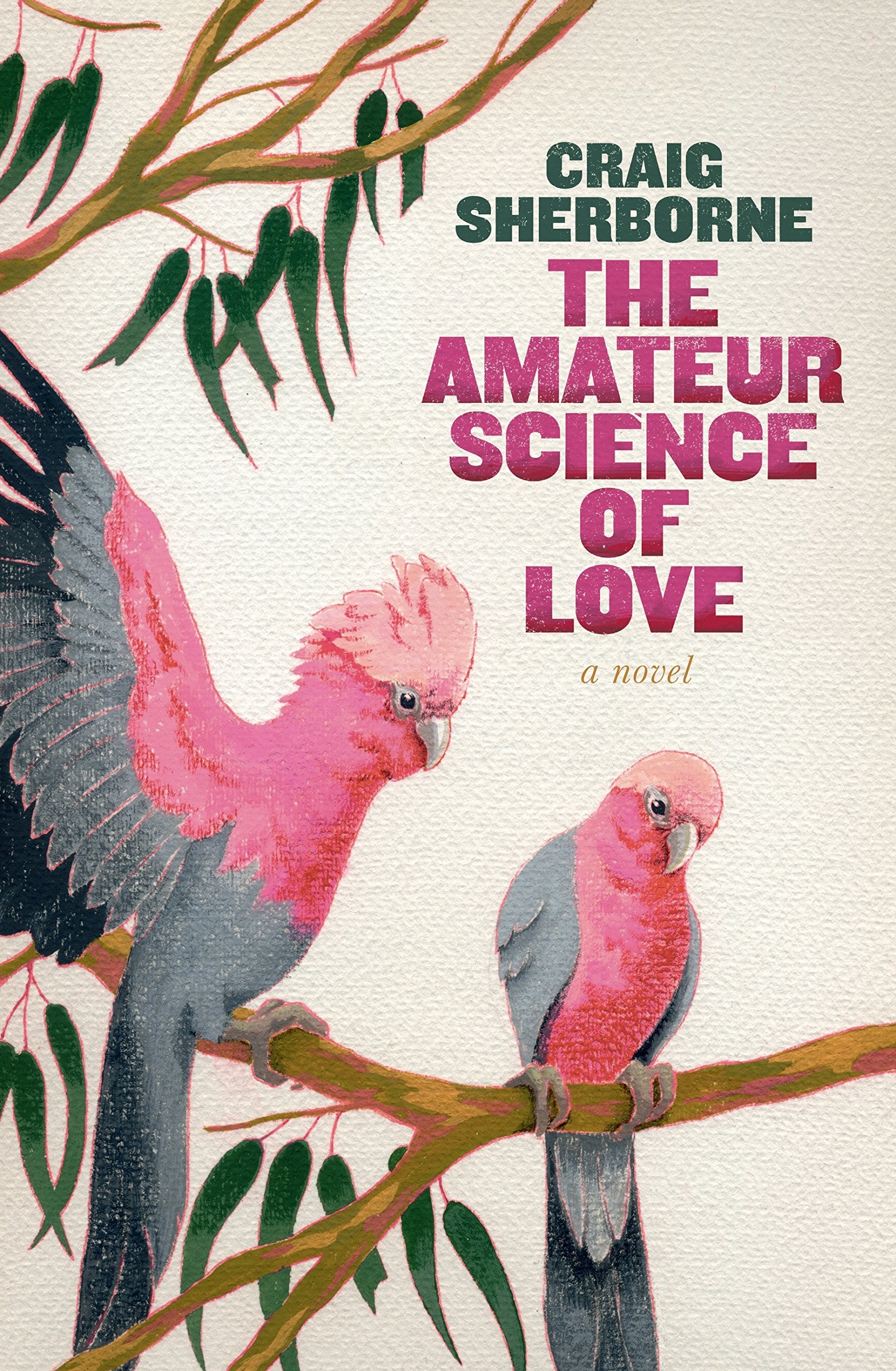 The Amateur Science of Love,Used