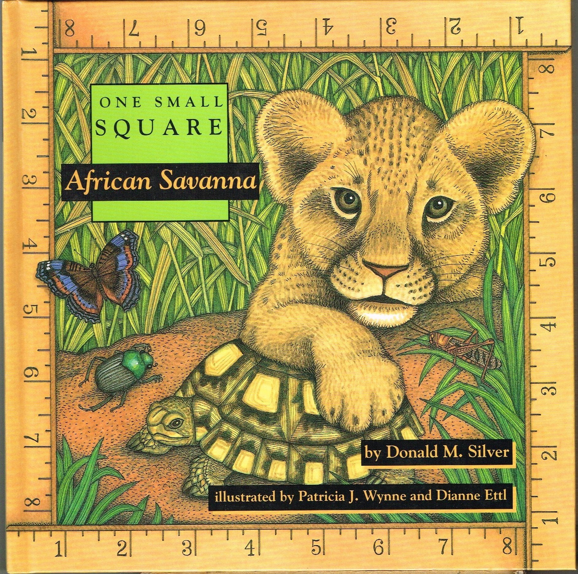 African Savanna (One Small Square),Used
