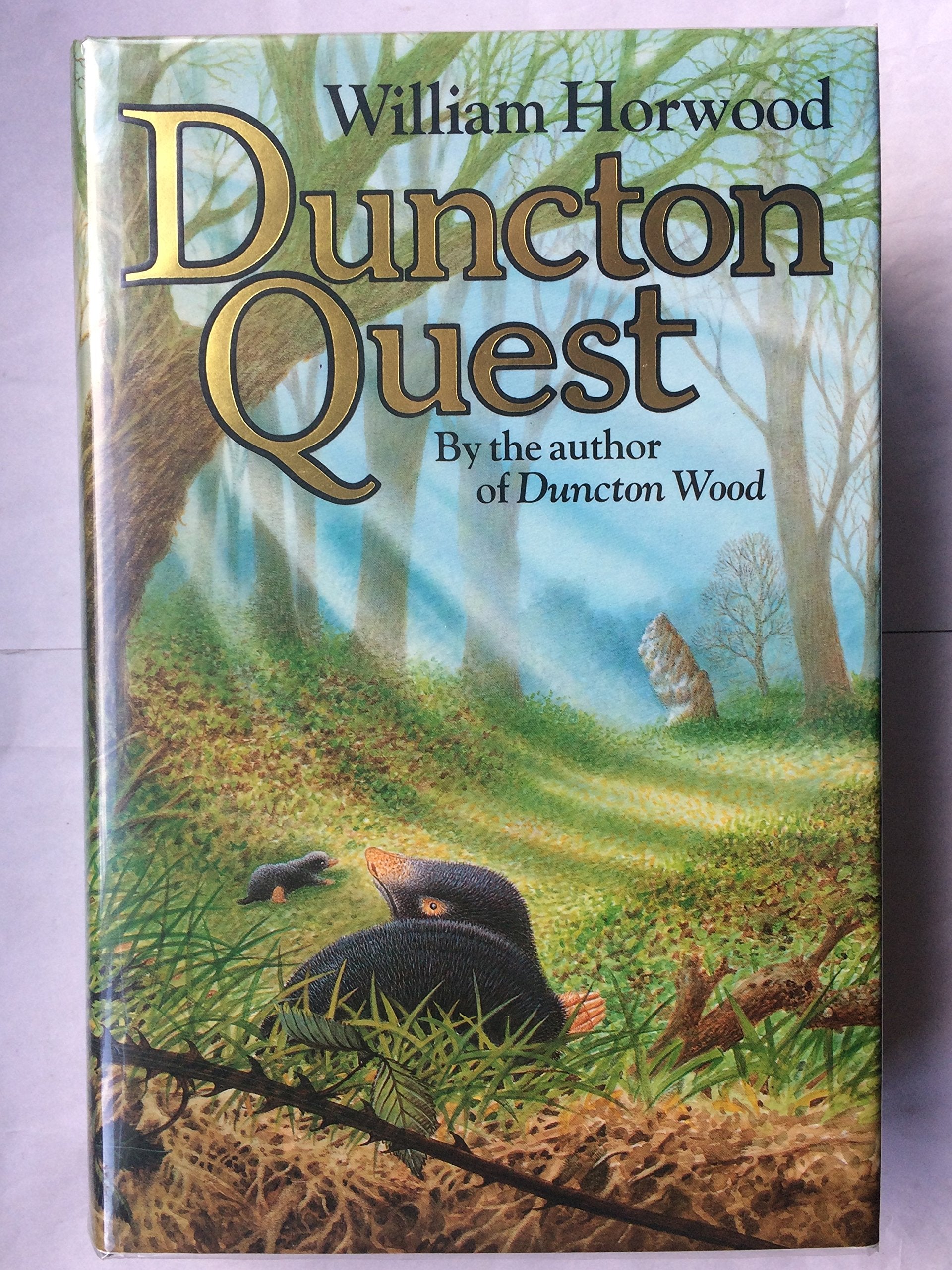 DUNCTON QUEST,Used