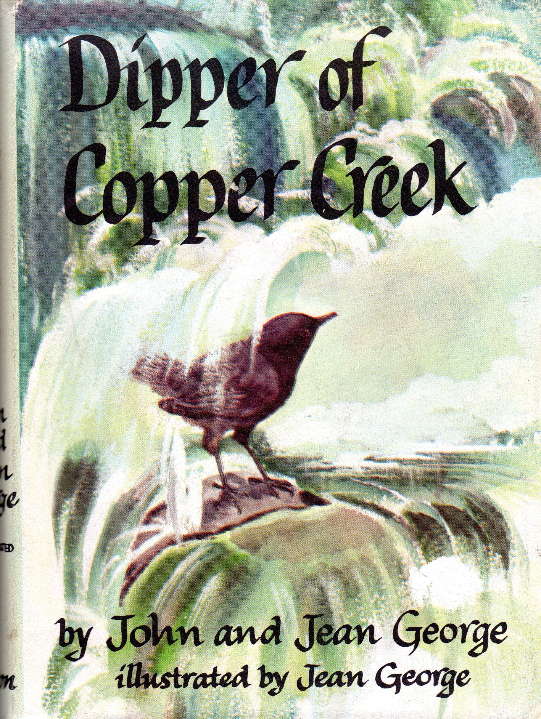 Dipper of Copper Creek,Used