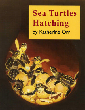Sea Turtles Hatching,Used