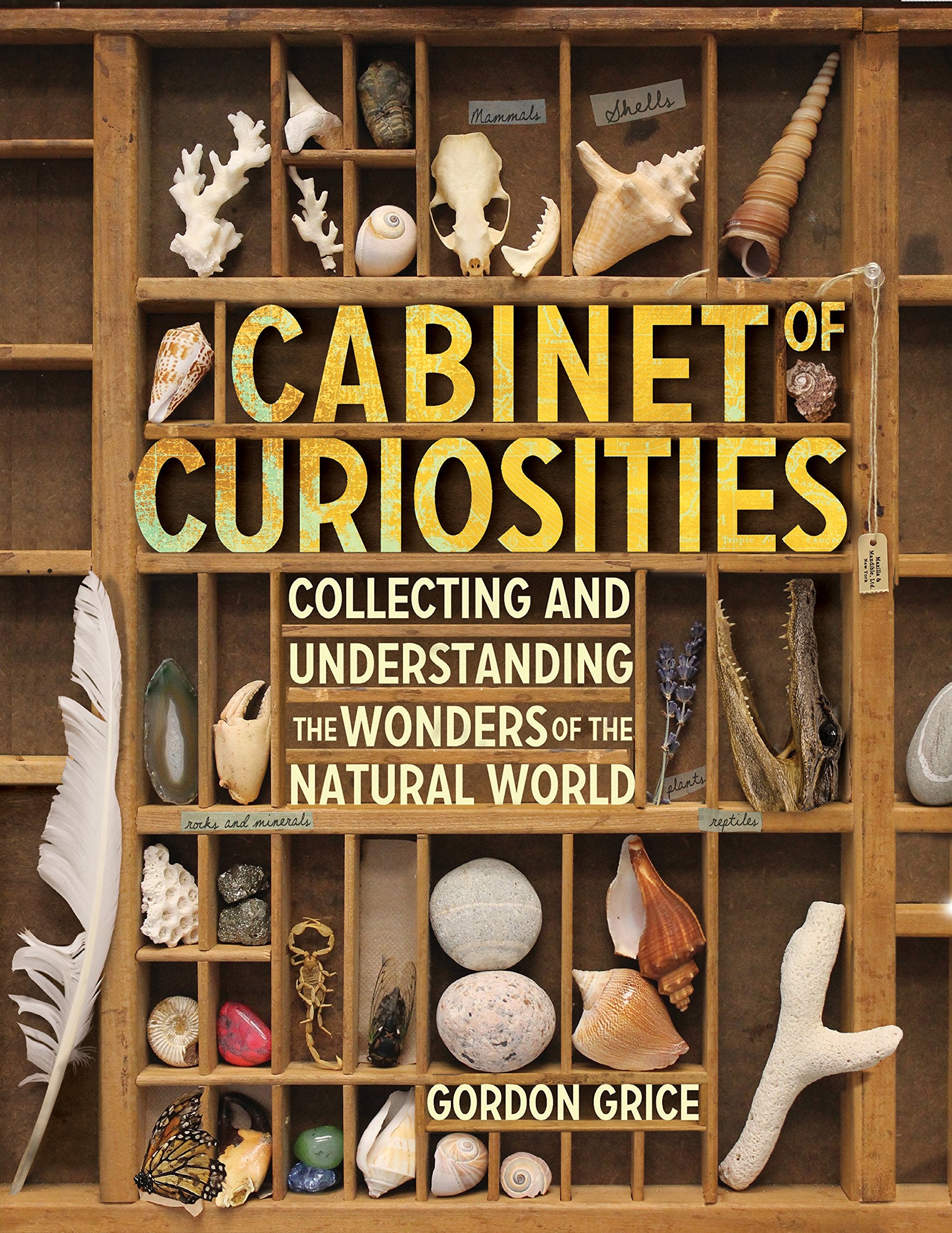 Cabinet Of Curiosities: Collecting And Understanding The Wonders Of The Natural World