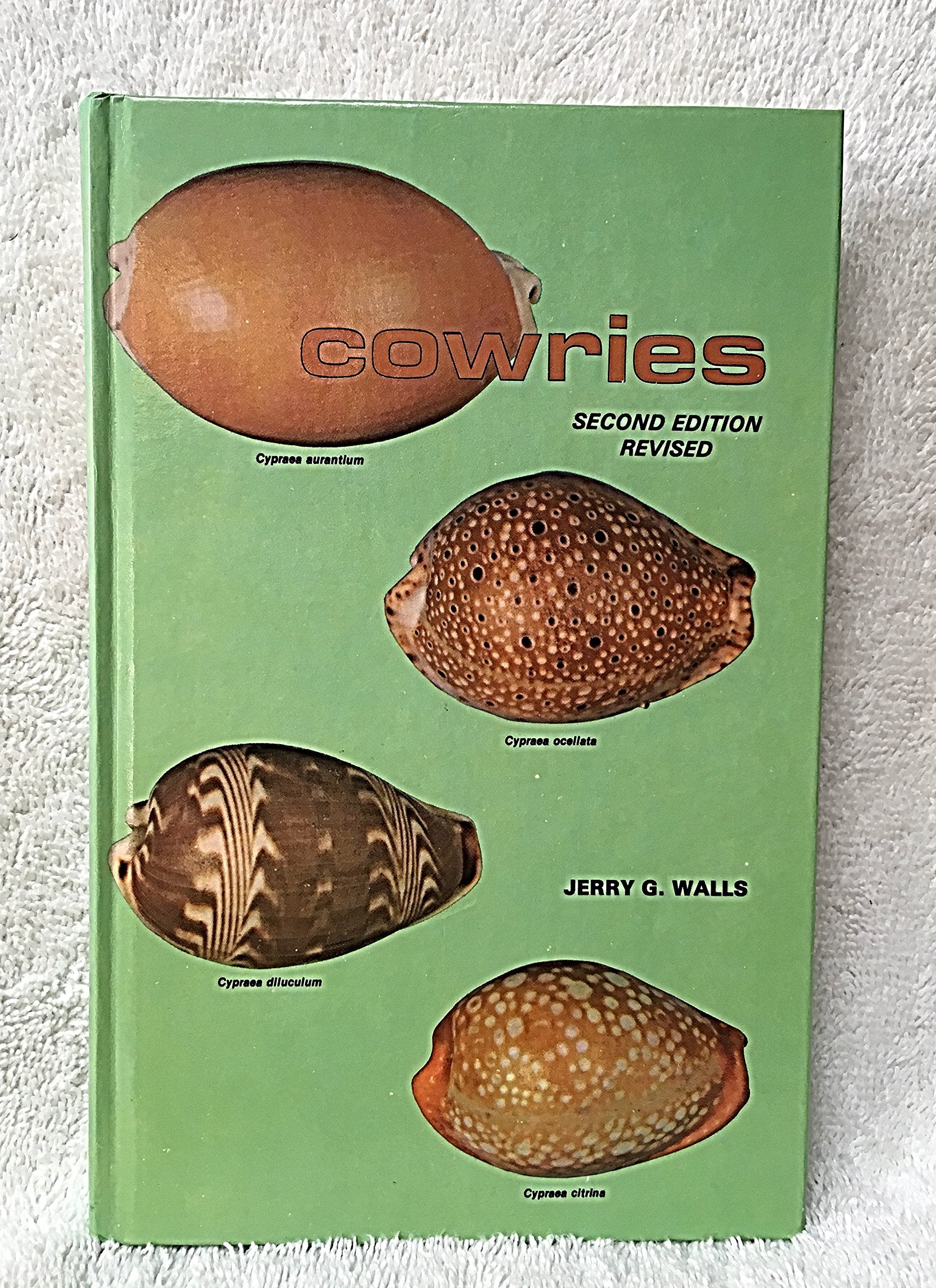 Cowries,Used