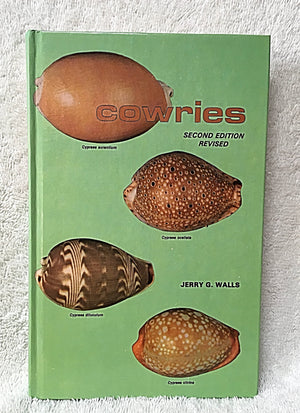 Cowries,Used