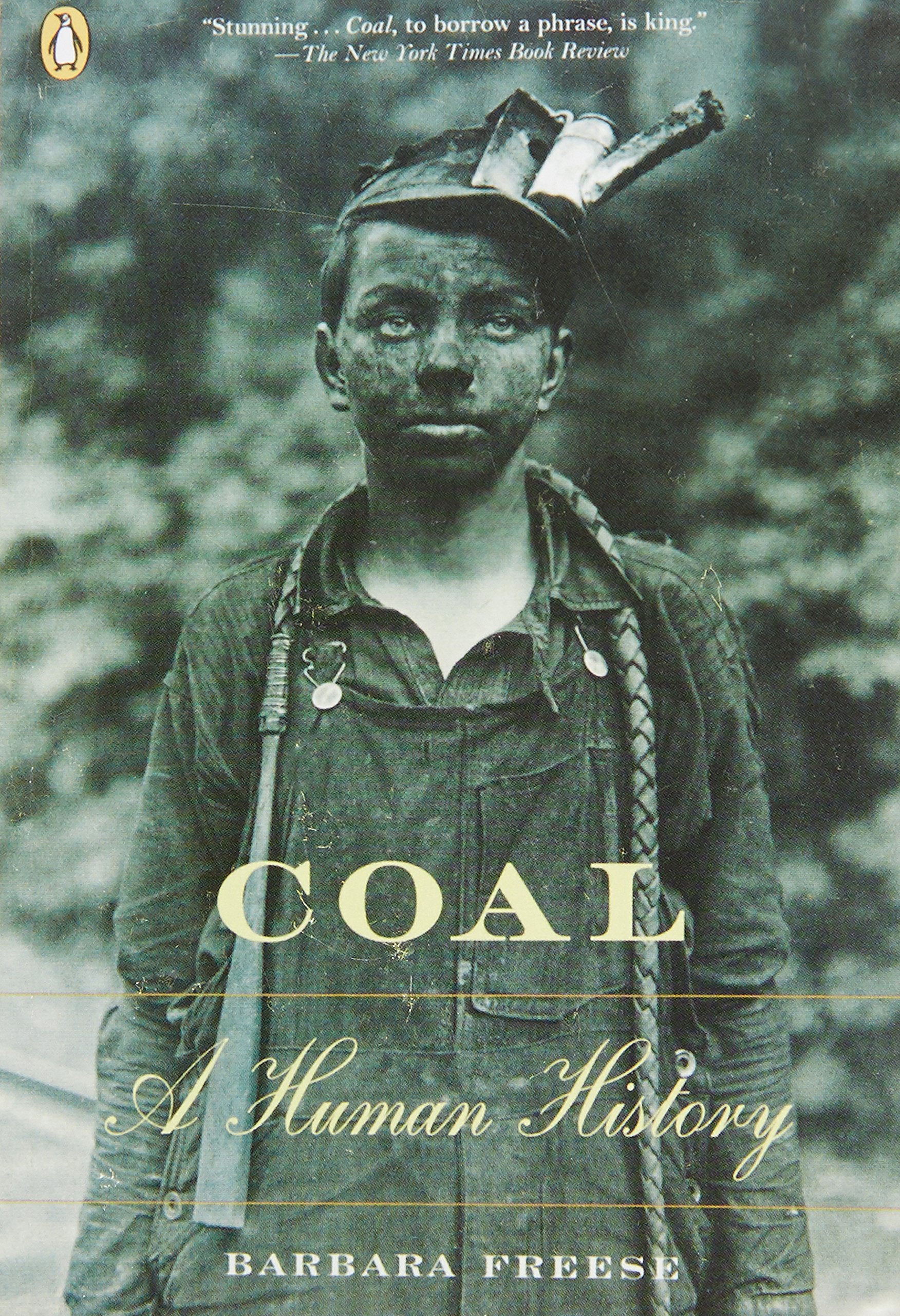 Coal: A Human History,New