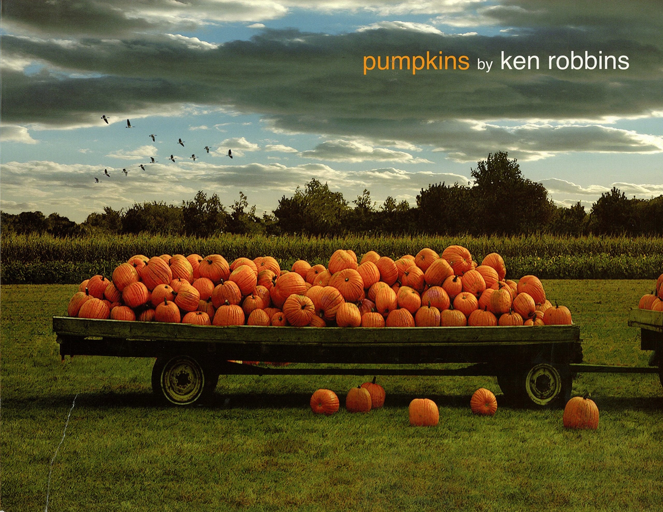 Pumpkins,New