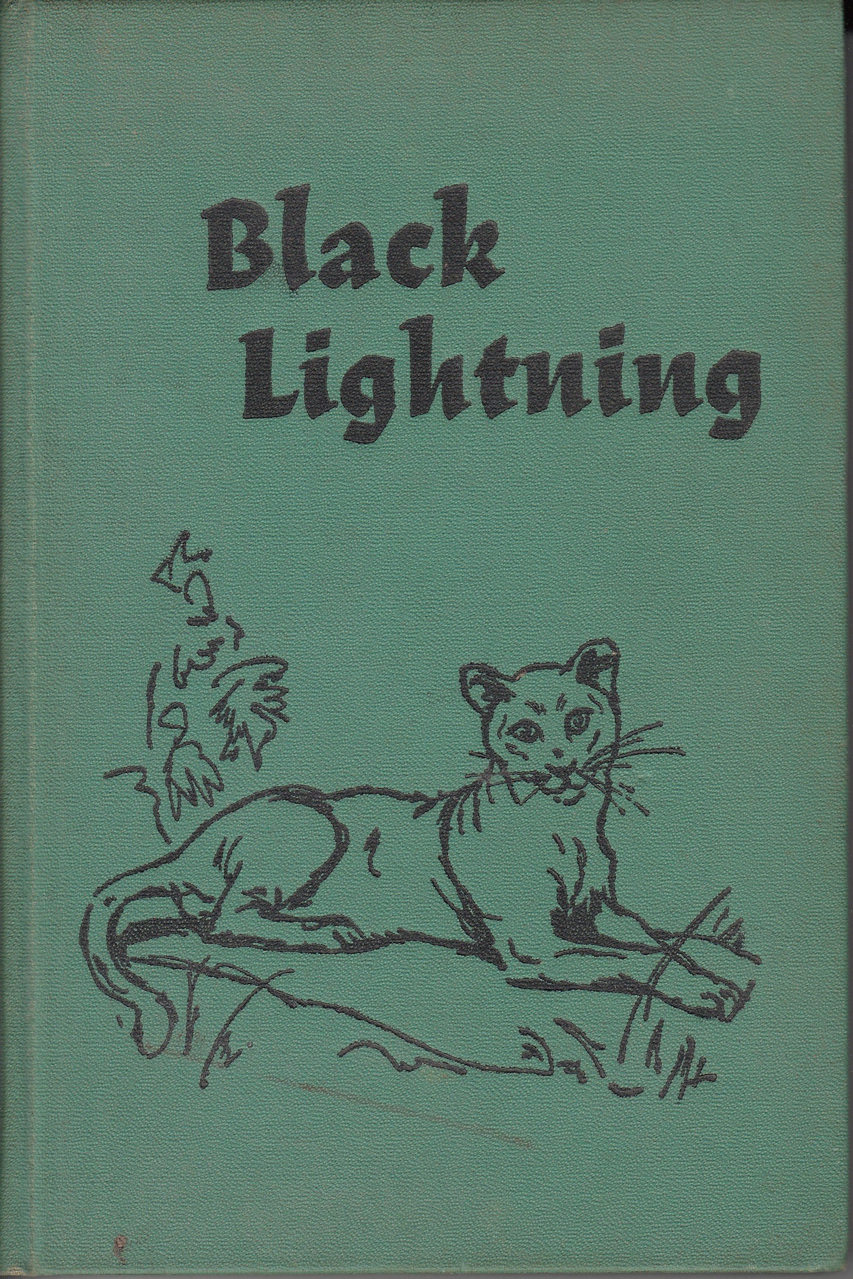 Black Lightning: The Story of a Leopard,Used