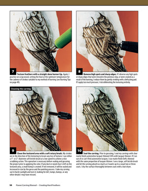 Power Carving Manual: Tools, Techniques, and 16 AllTime Favorite Projects (The Best of Woodcarving Illustrated) (Fox Chapel Pub,Used
