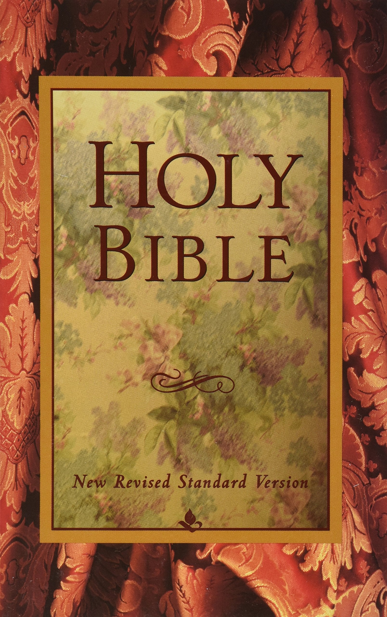 Holy Bible: New Revised Standard Version,Used