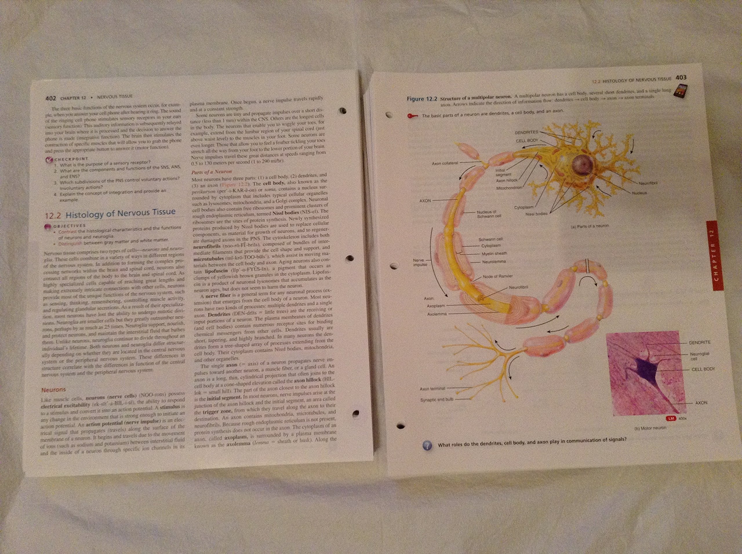 Principles of Anatomy and Physiology 14e Binder Ready Version with Atlas of the Skeleton 3e Set,New