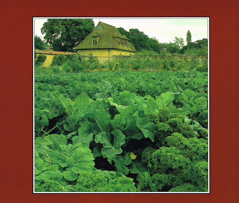 Fruit and Vegetable Gardens: The National Trust Guide to the Productive Garden,Used