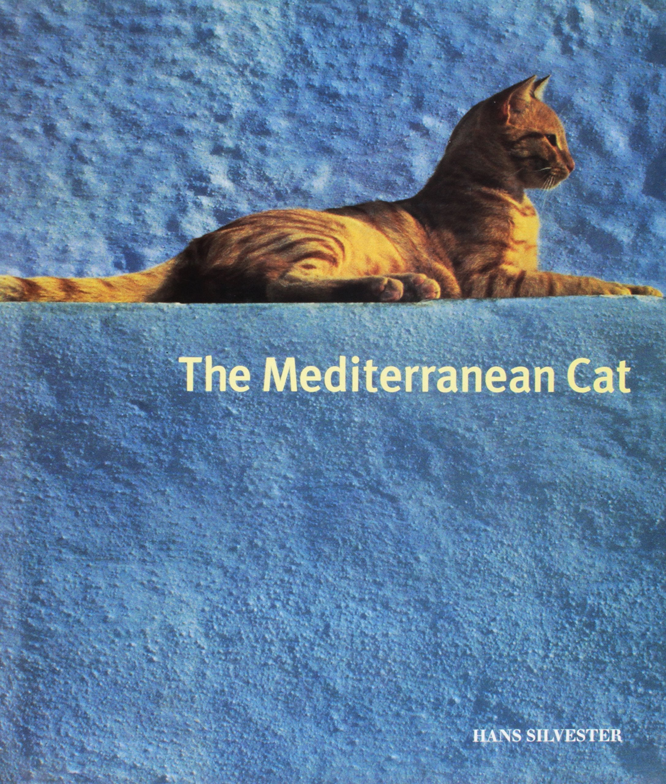 The Mediterranean Cat