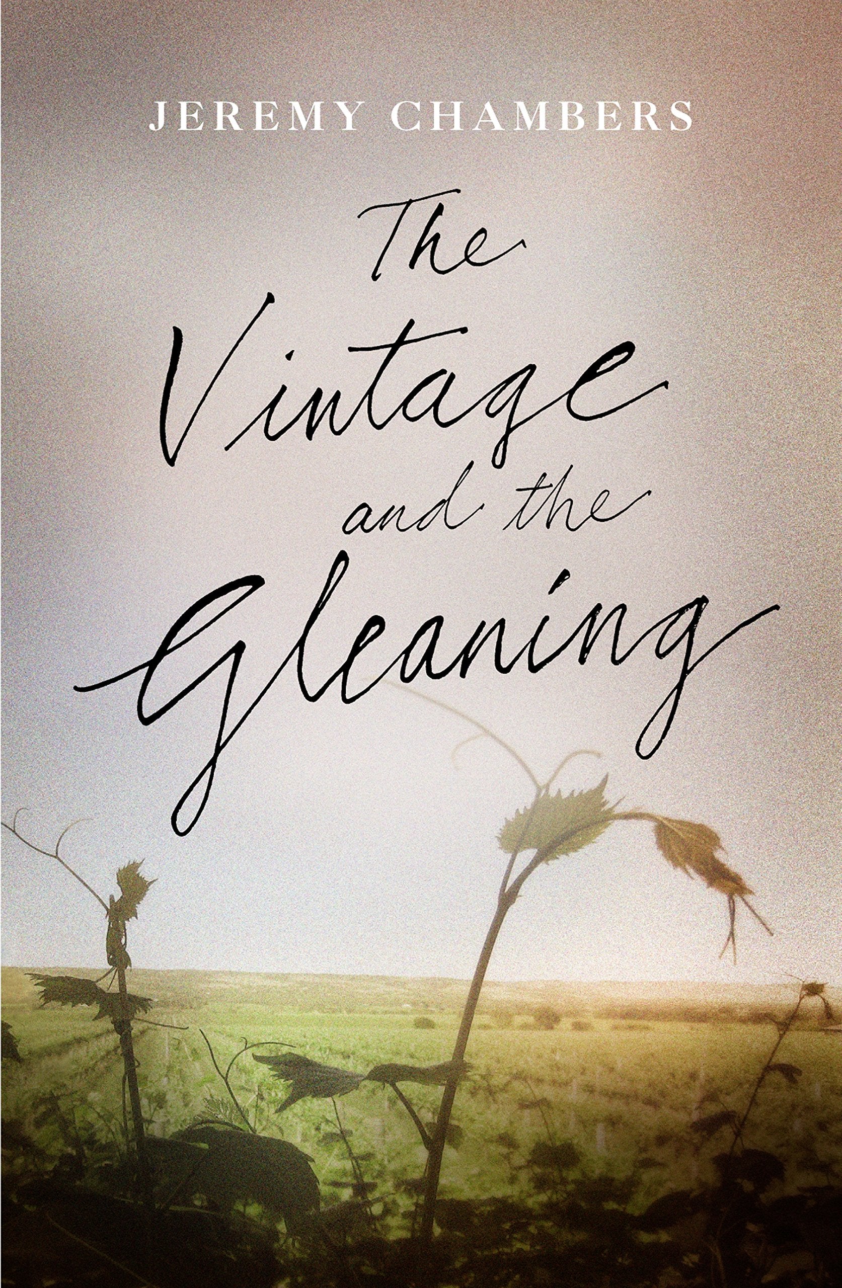 The Vintage and the Gleaning,Used