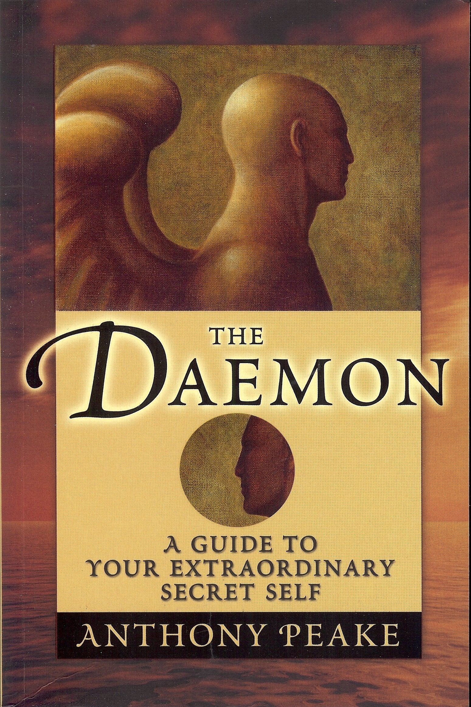 The Daemon: A Guide to Your Extraordinary Secret Self,Used