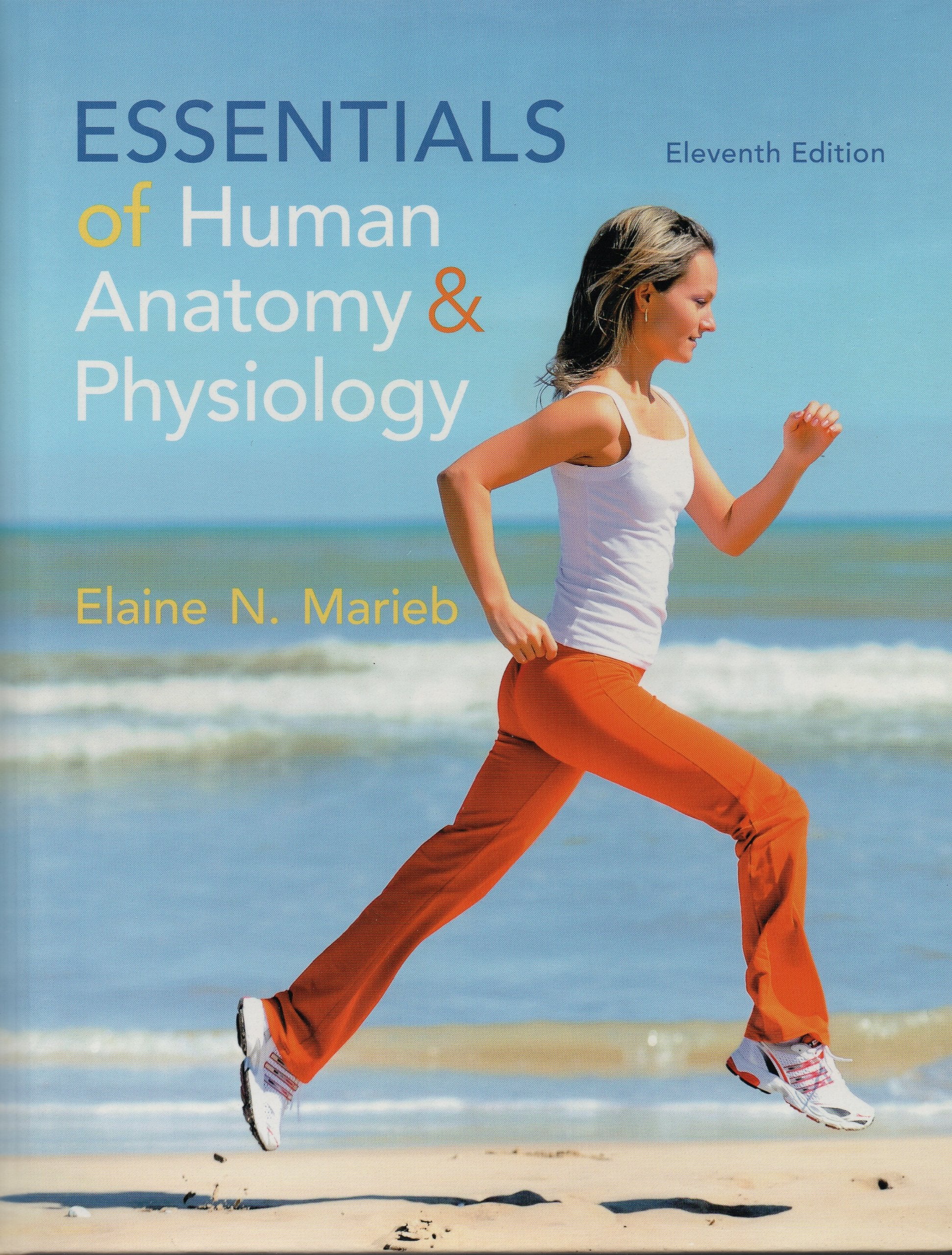 Essentials Of Human Anatomy & Physiology-used