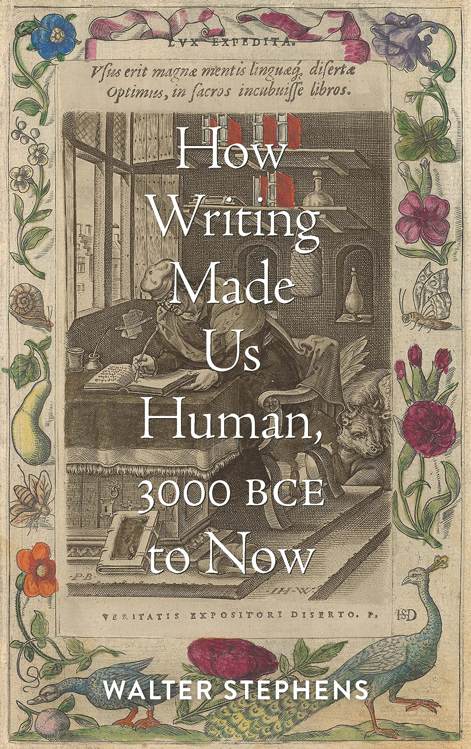 How Writing Made Us Human, 3000 Bce To Now (Information Cultures),Used