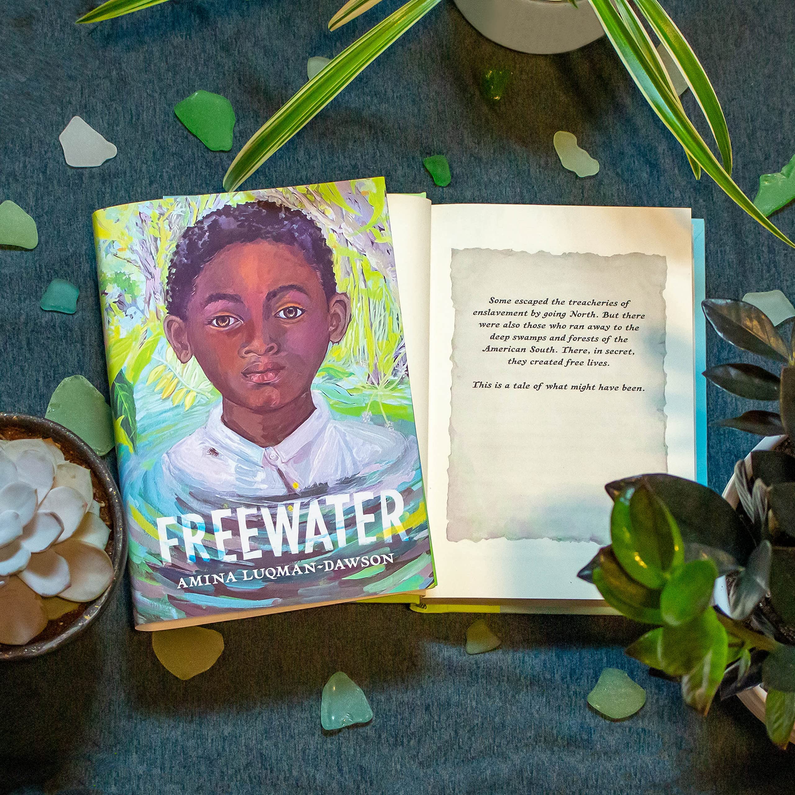 Freewater (Newbery & Coretta Scott King Award Winner),Used