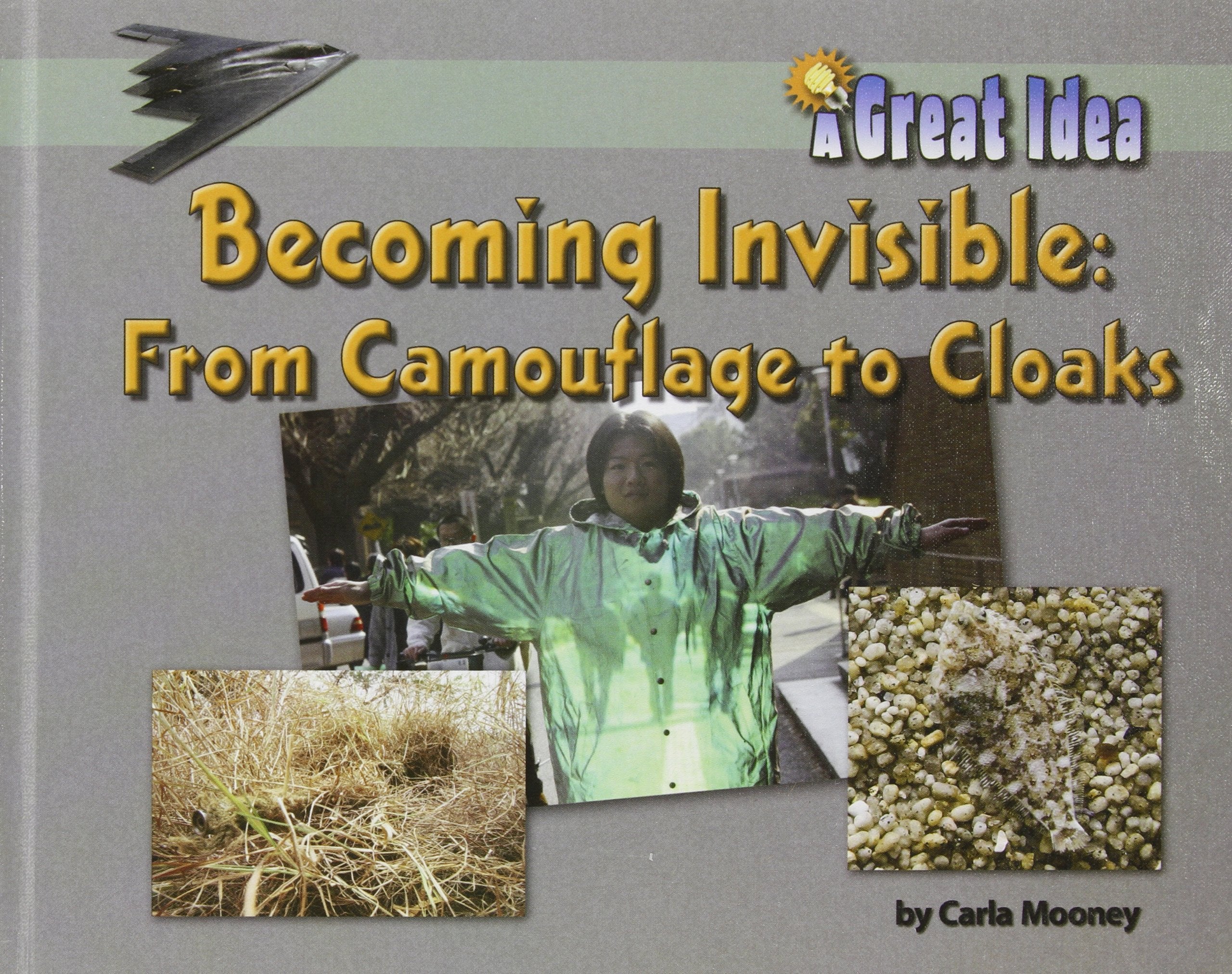Becoming Invisible: from Camouflage to Cloaks: From Camouflage to Cloaks (Great Idea),Used
