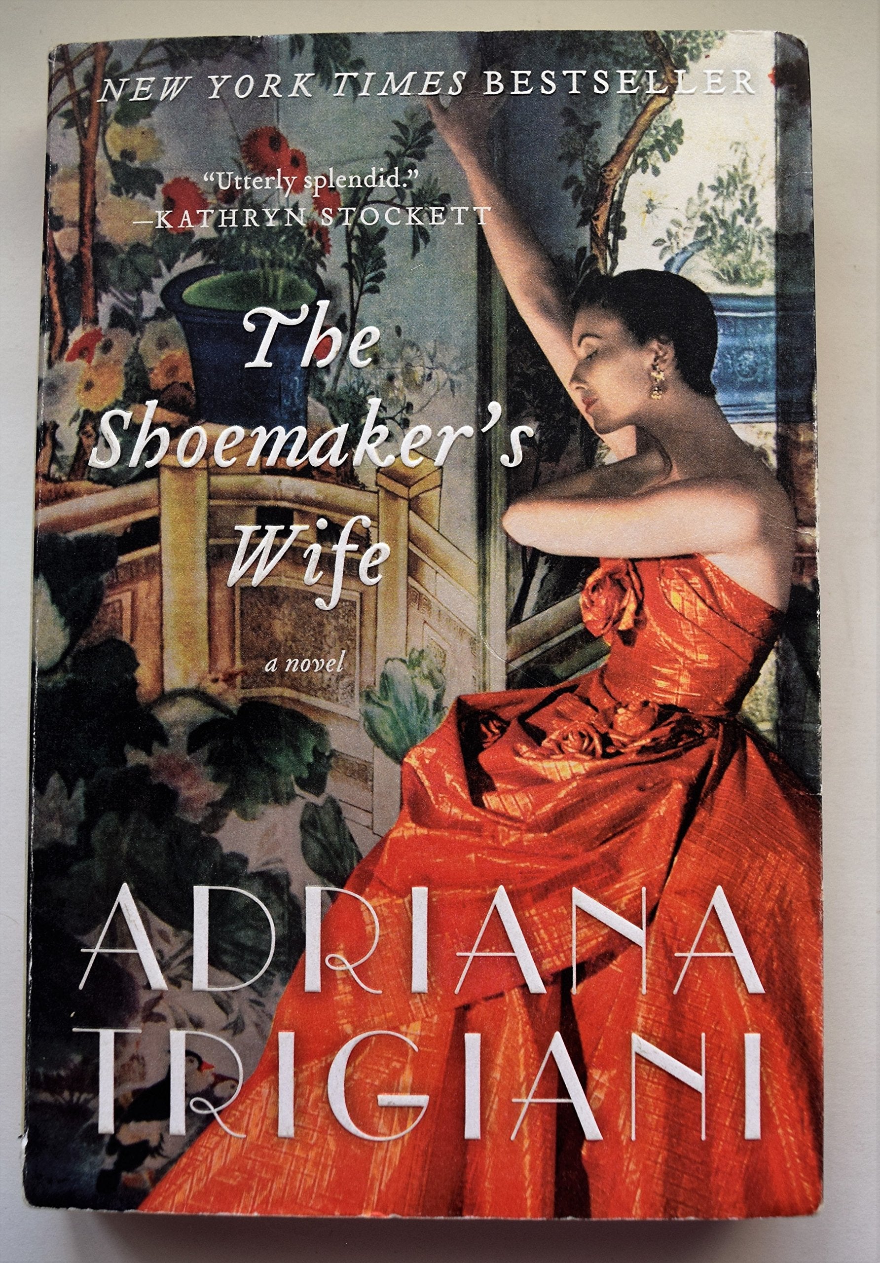 The Shoemaker's Wife: A Novel,New