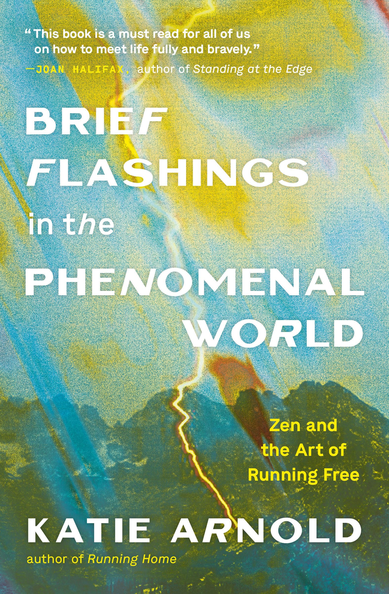 Brief Flashings In The Phenomenal World,New