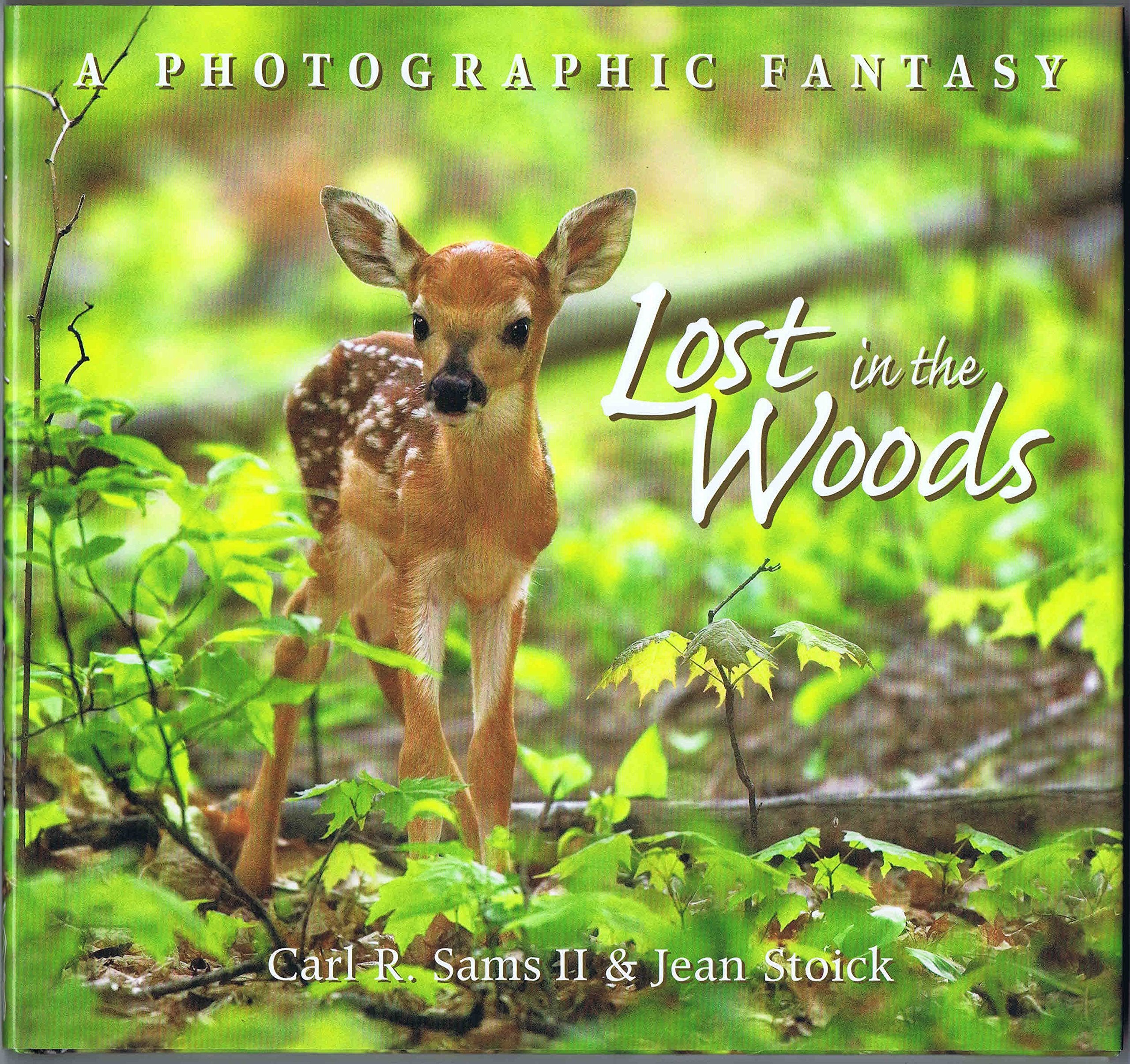 Lost In The Woods: A Photographic Fantasy,Used