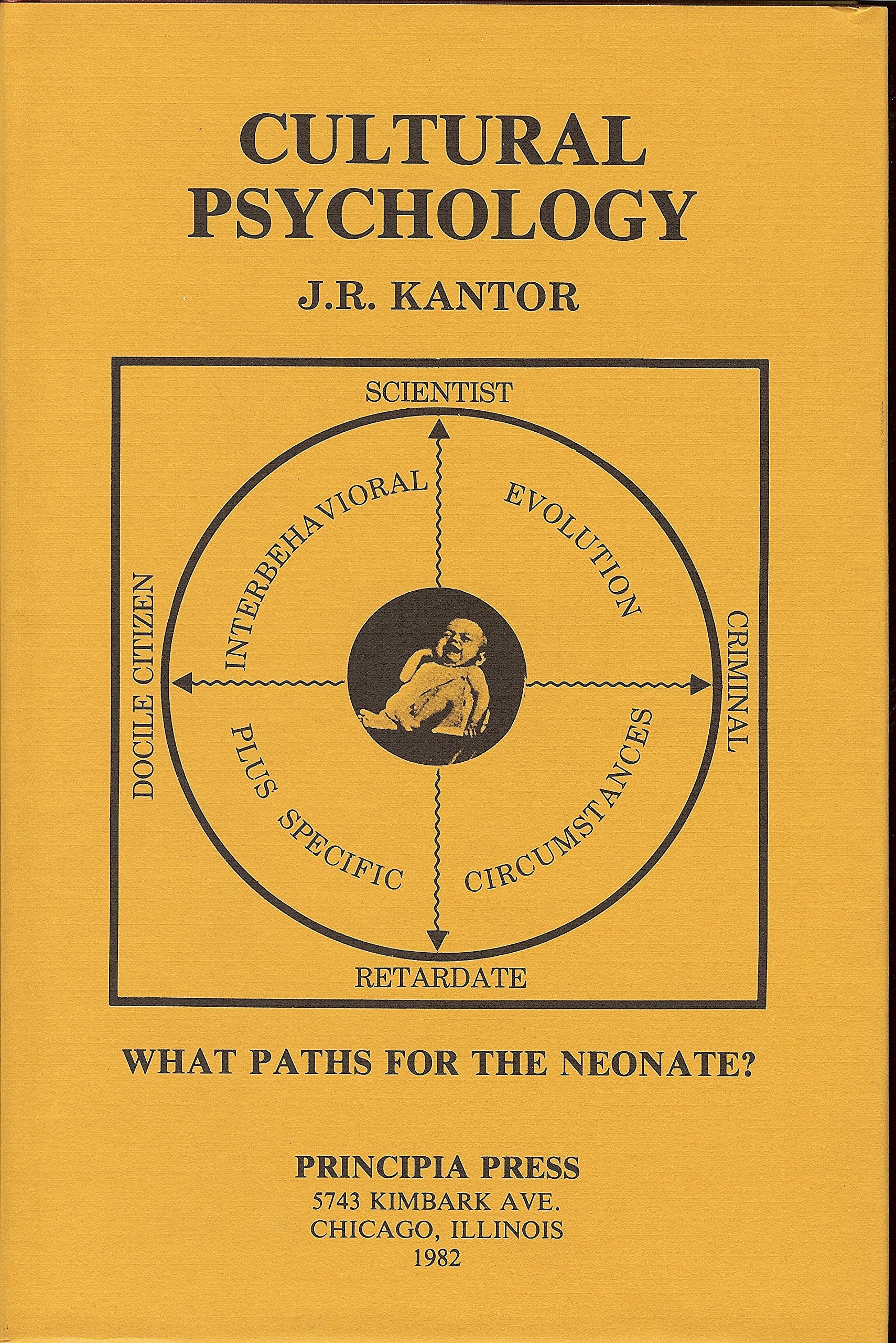 Cultural Psychology,New
