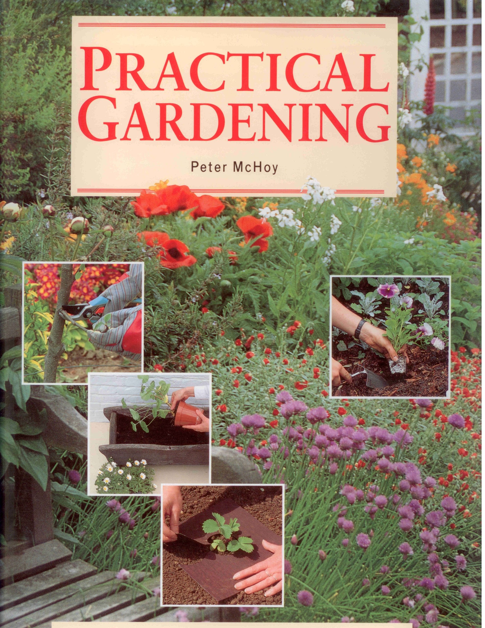 Practical Gardening,Used