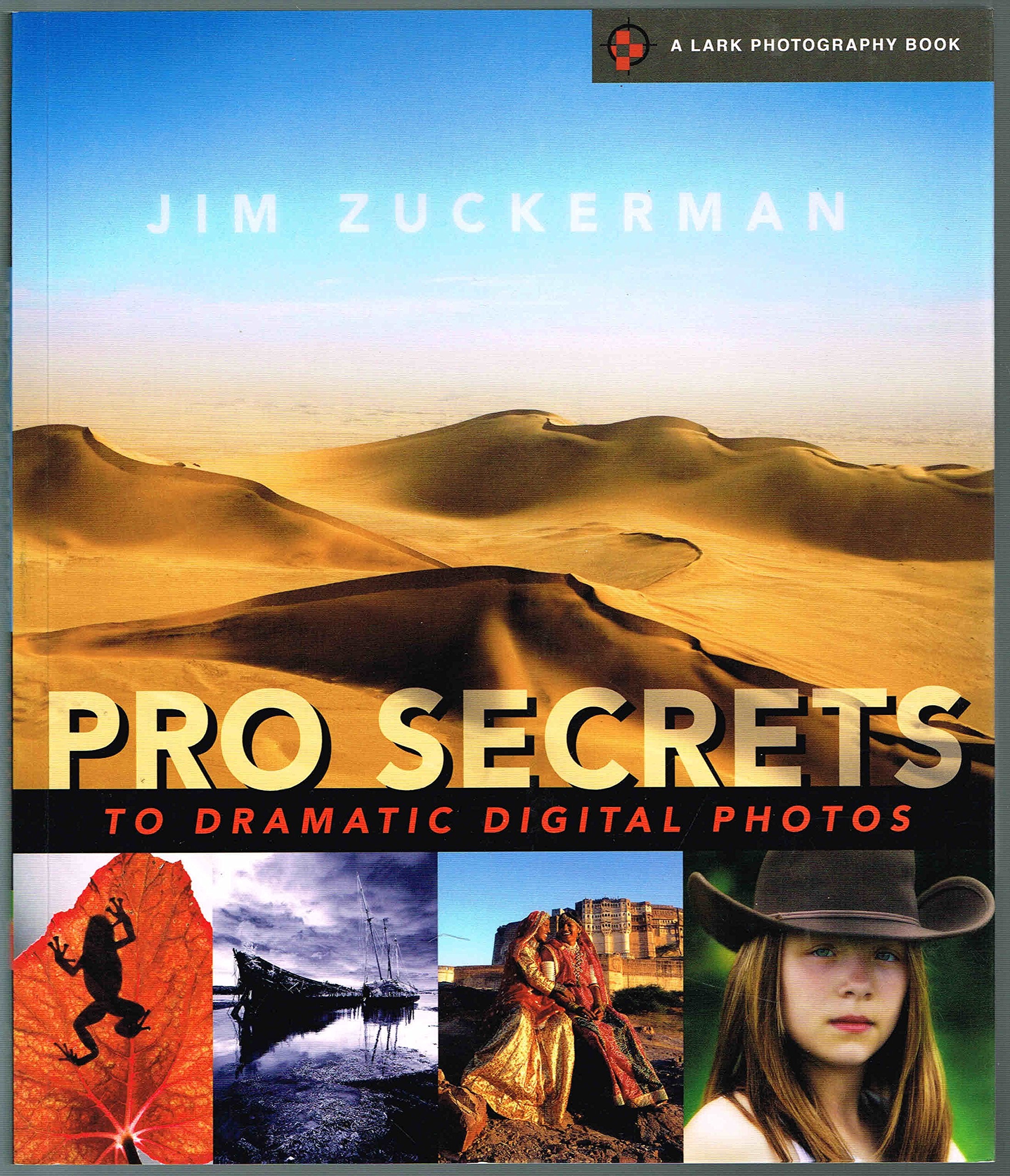 Pro Secrets to Dramatic Digital Photos (A Lark Photography Book),New