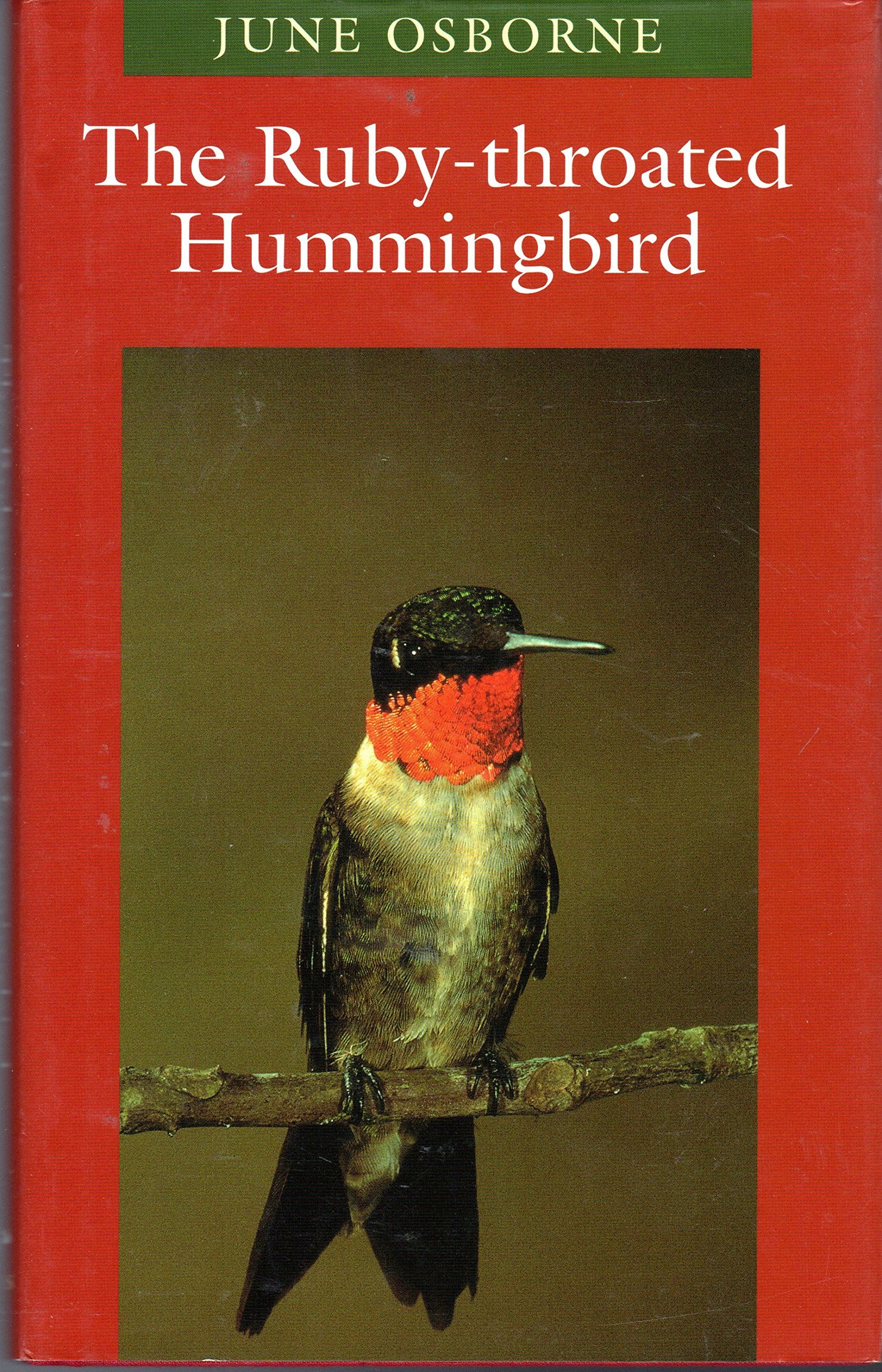 The Rubythroated Hummingbird (Corrie Herring Hooks Series),Used