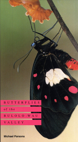 Butterflies Of The Bulolowau Valley (Wau Ecology Institute Handbook No. 12)-new