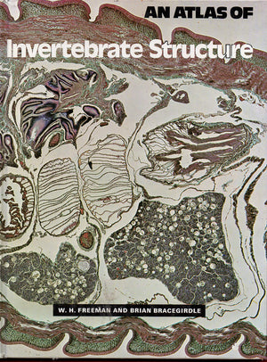 ATLAS INVERTEBRATE STRUCTURE,Used