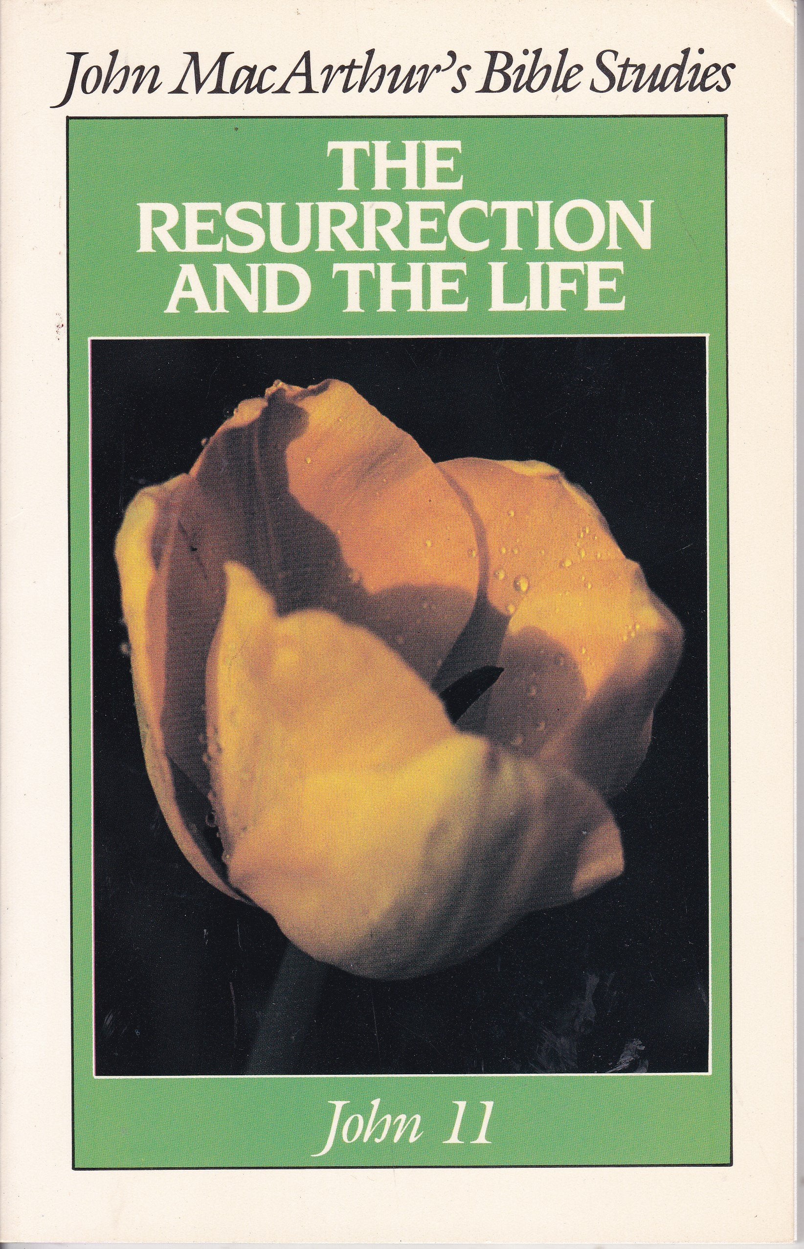 The Resurrection And The Life (John Macarthurs Bible Studies),Used