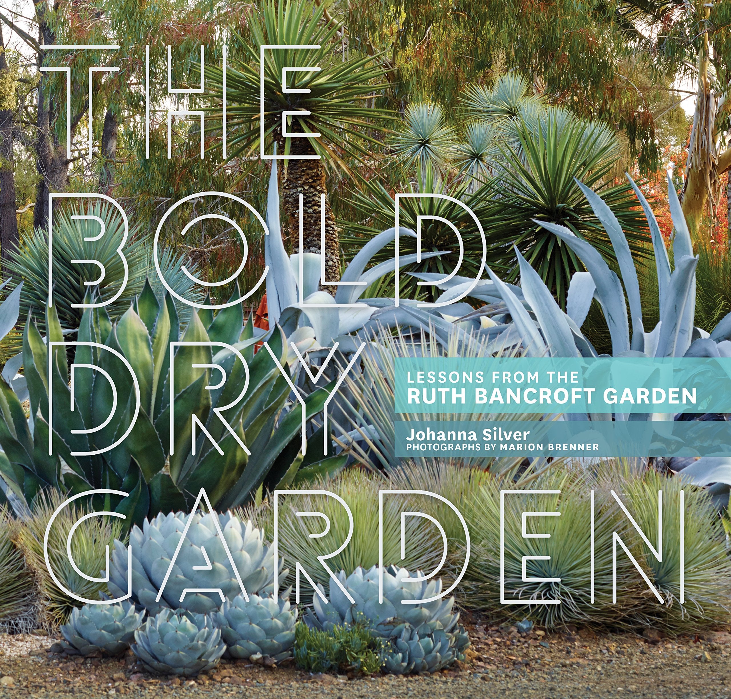 The Bold Dry Garden: Lessons From The Ruth Bancroft Garden