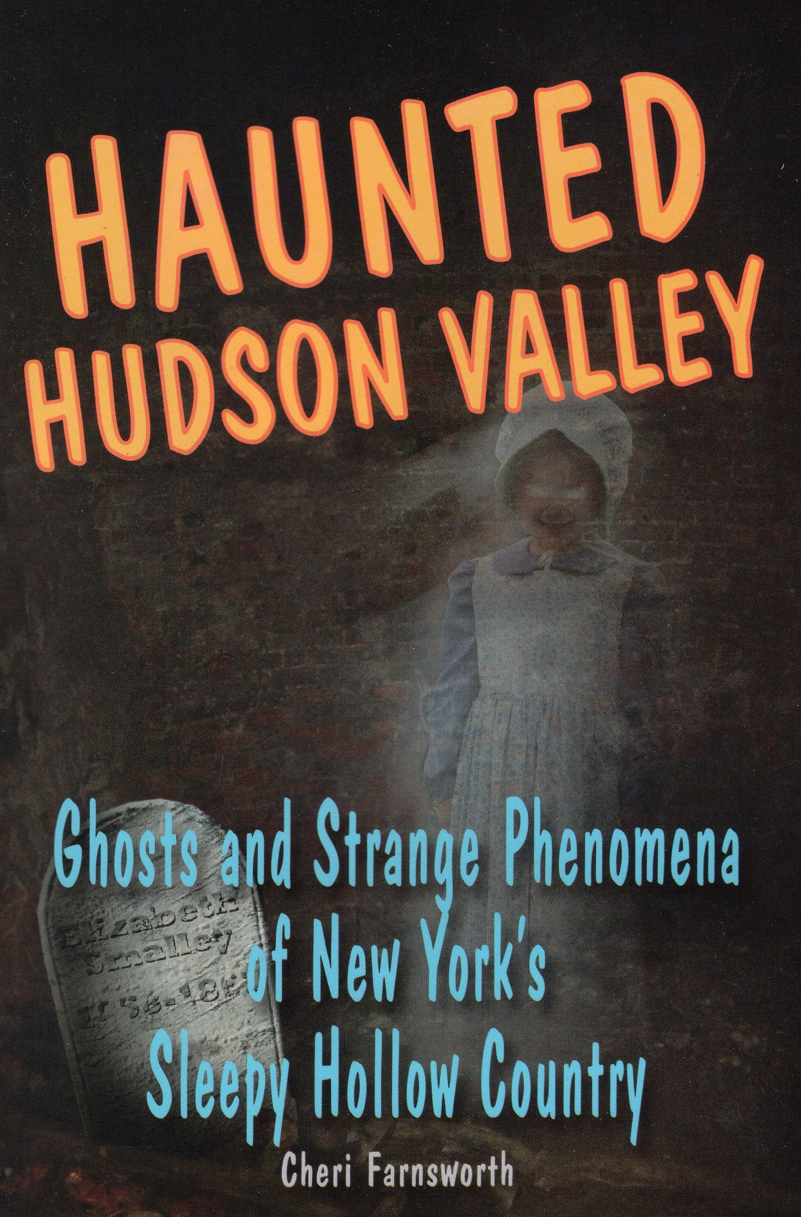 Haunted Hudson Valley: Ghosts and Strange Phenomena of New York's Sleepy Hollow Country (Haunted Series),Used