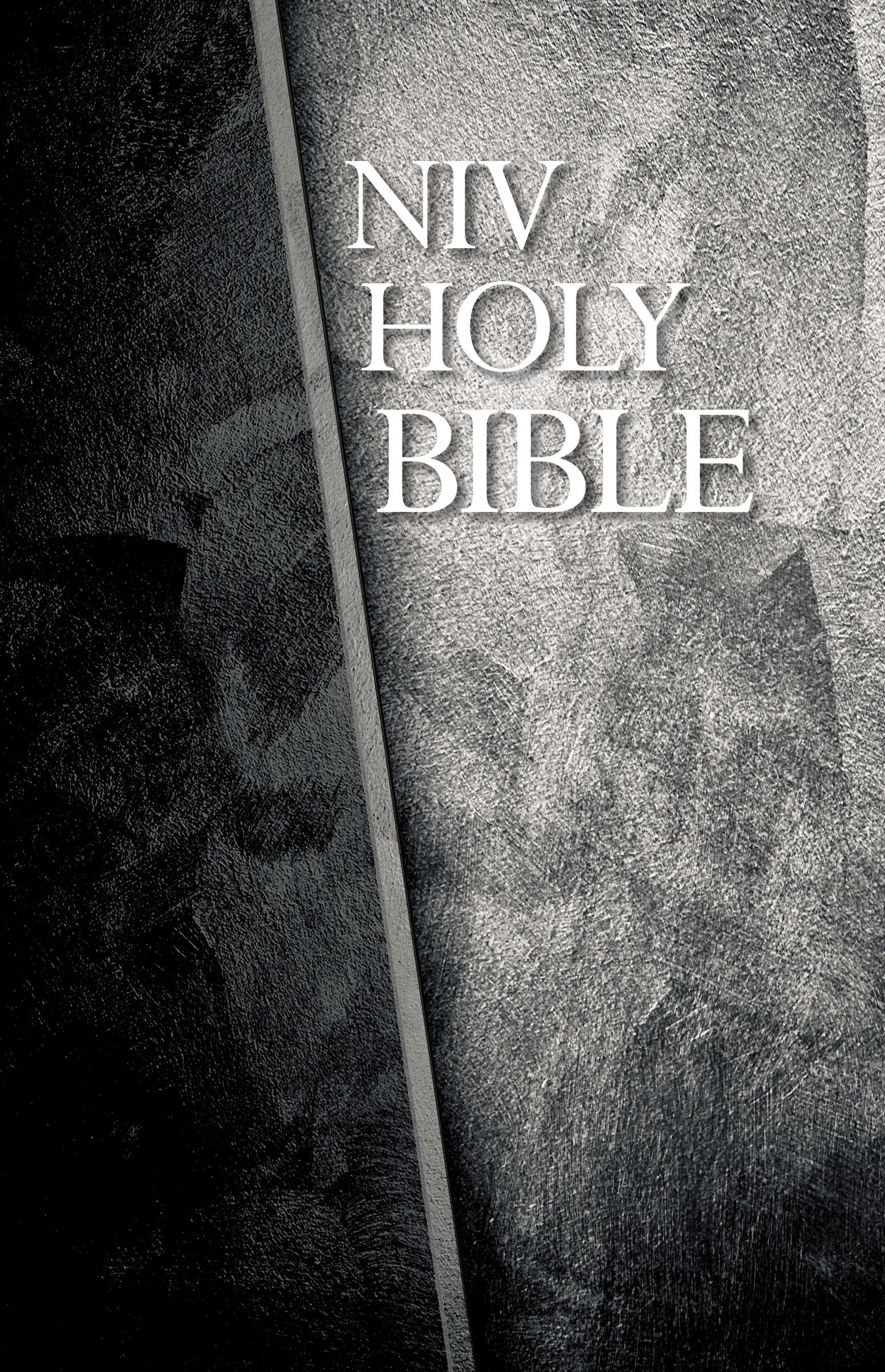 NIV, Economy Bible, Hardcover, Black/Gray,Used