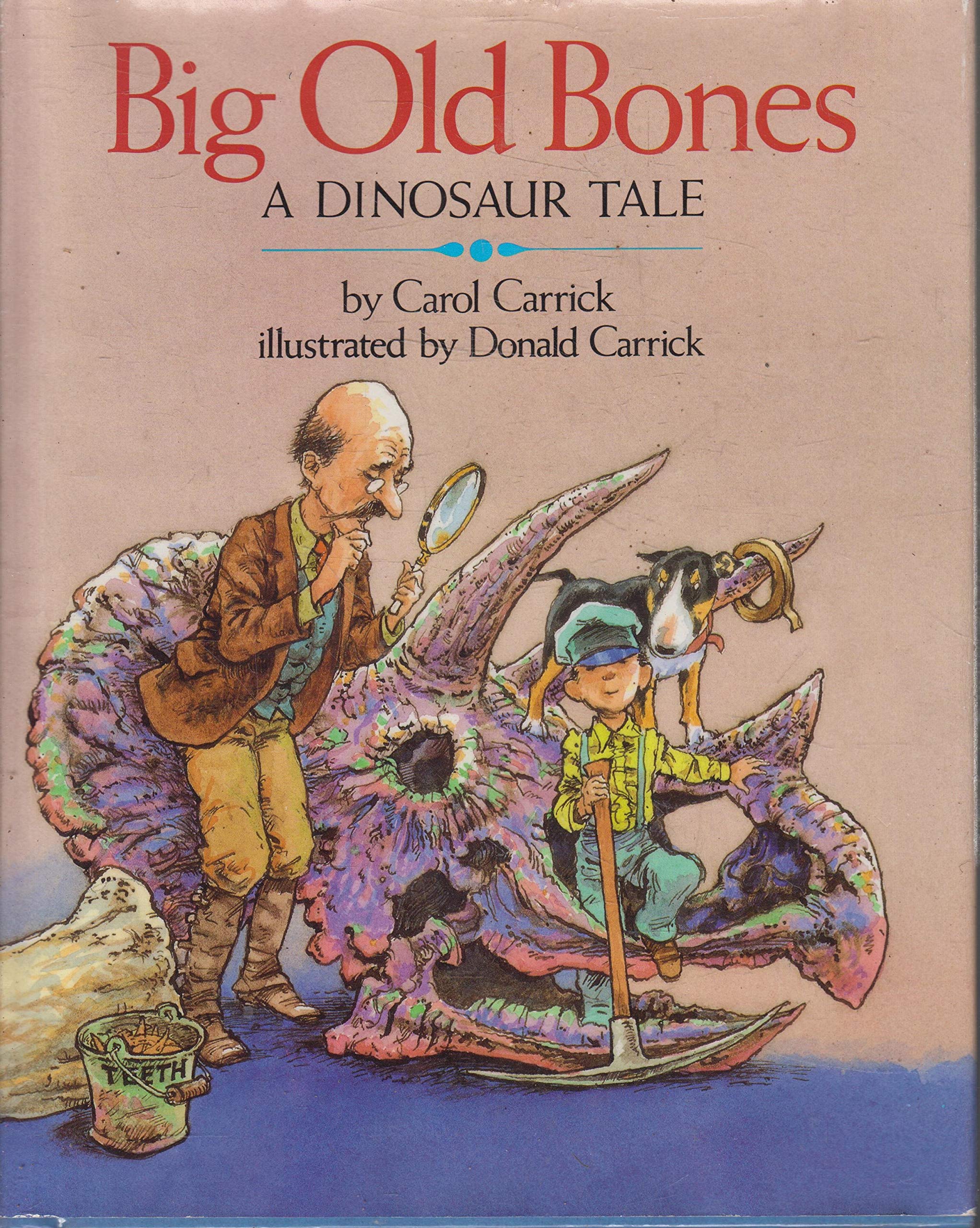Big Old Bones: A Dinosaur Tale,Used