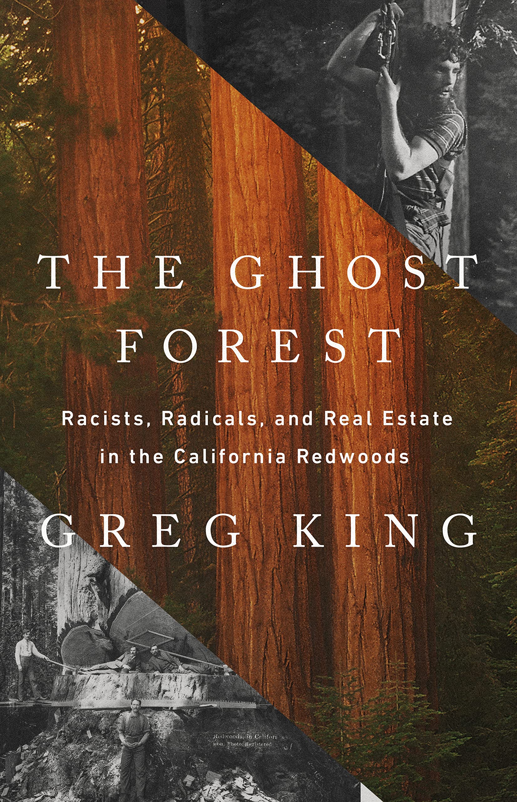 The Ghost Forest: Racists, Radicals, And Real Estate In The California Redwoods,Used